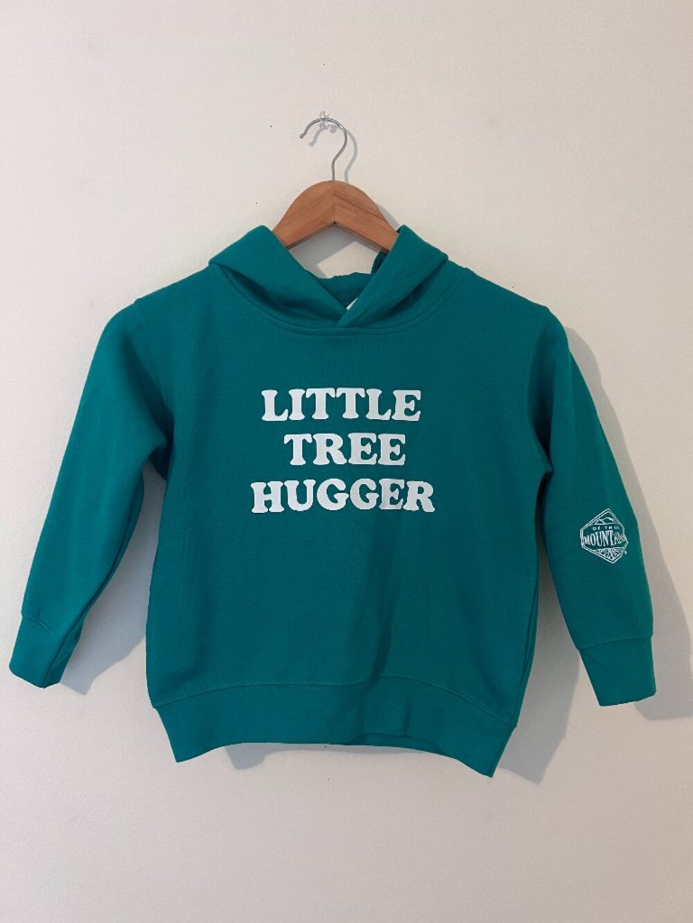 New little tree hugger kids hoodie